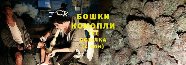 PSILOCYBIN Алексеевка